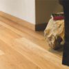 Honey Oak Oiled Hardwood