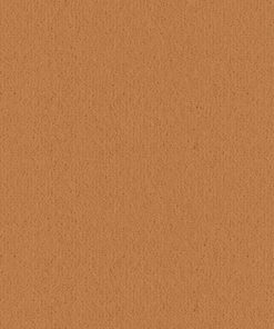 Ulster Velvet Collection Champagne